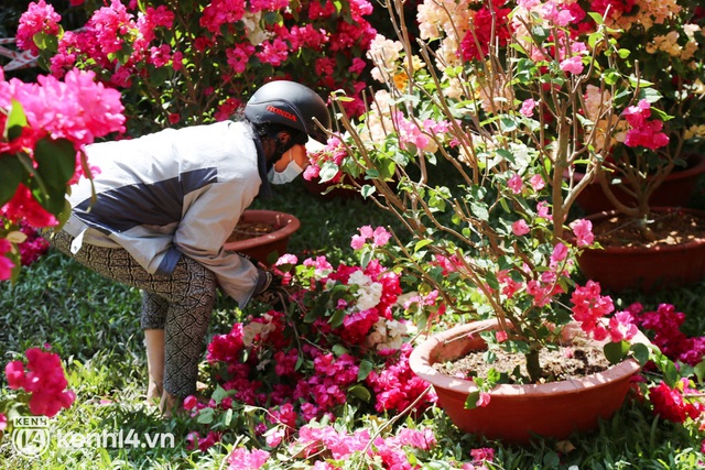 ẢNH: Sau khi tiểu thương ở Sài Gòn vứt bỏ hoa ế, nhiều người dân tranh thủ đến xin đất, lượm hoa mang về trưa 29 Tết - Ảnh 2.