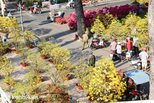 ẢNH: Sau khi tiểu thương ở Sài Gòn vứt bỏ hoa ế, nhiều người dân tranh thủ đến xin đất, lượm hoa mang về trưa 29 Tết - Ảnh 18.