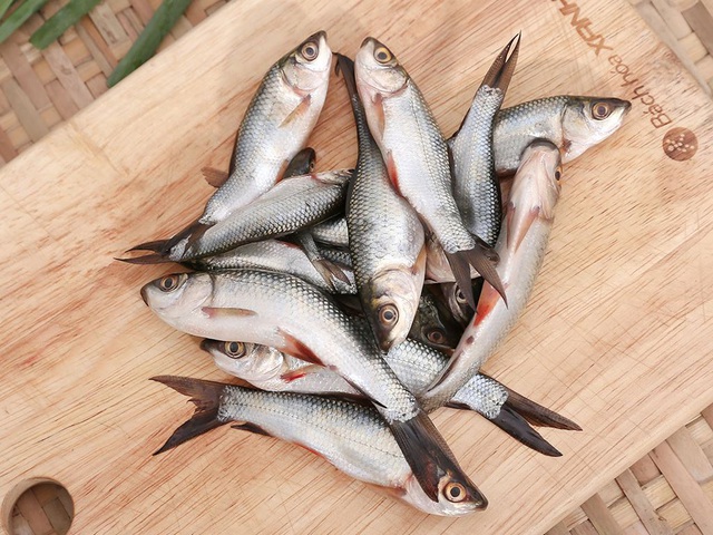 Khi đi chợ, thấy 4 loại cá này nhất định nên mua vì chúng vừa mềm giá lại cực bổ dưỡng - Ảnh 4.