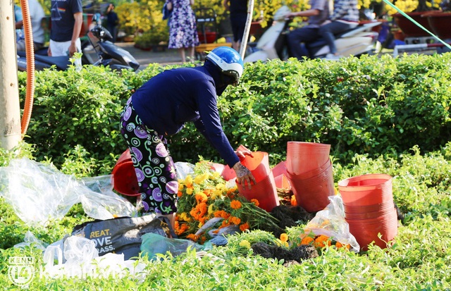 ẢNH: Sau khi tiểu thương ở Sài Gòn vứt bỏ hoa ế, nhiều người dân tranh thủ đến xin đất, lượm hoa mang về trưa 29 Tết - Ảnh 7.