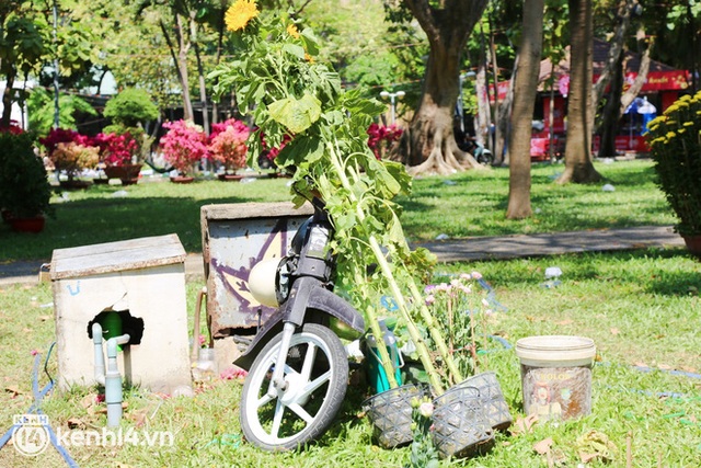 ẢNH: Sau khi tiểu thương ở Sài Gòn vứt bỏ hoa ế, nhiều người dân tranh thủ đến xin đất, lượm hoa mang về trưa 29 Tết - Ảnh 9.
