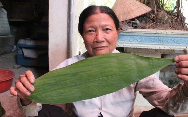 Những loại lá mọc đầy vườn, cho không ai lấy, sang trời Tây bán giá "cắt cổ" vẫn cháy hàng