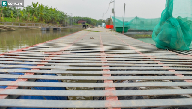  Khám phá kho báu 35.000 tấn đang náu dưới sông ở Hải Dương - sự thật bất ngờ từ chủ nhân - Ảnh 13.