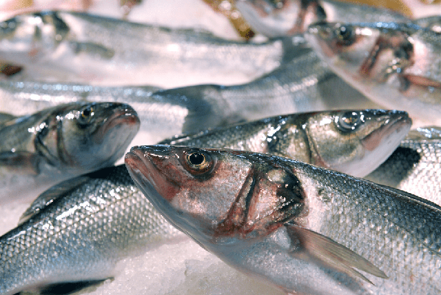 Vào mùa đông, người thông minh đi chợ thấy 7 loại cá này sẽ mua ngay vì đúng lúc chúng ngọt thịt, giàu dinh dưỡng, giá lại mềm - Ảnh 3.
