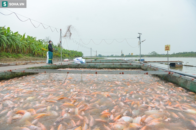  Khám phá kho báu 35.000 tấn đang náu dưới sông ở Hải Dương - sự thật bất ngờ từ chủ nhân - Ảnh 7.