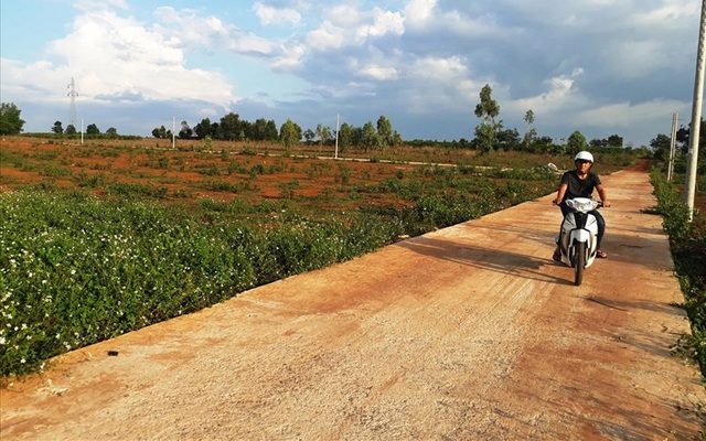 Quan ngại  xảy ra chuyện doanh nghiệp BĐS đi gom đất nông nghiệp làm dự án không cần đấu thầu, đấu giá?