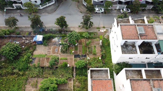 KĐT mới Nam đường 32 bỏ hoang, dân trồng rau trên móng nhà liền kề tiền tỷ - Ảnh 4.