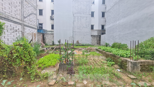 KĐT mới Nam đường 32 bỏ hoang, dân trồng rau trên móng nhà liền kề tiền tỷ - Ảnh 14.