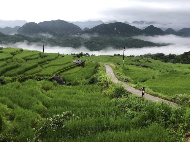 Muốn săn mây nhưng không thể dậy sớm thì đừng bỏ lỡ Măng Đen và những “thiên đường” này - Ảnh 13.