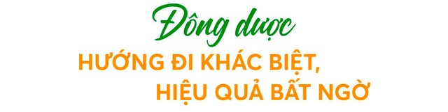 Hành trình xây dựng vùng dược liệu xanh và bước chuyển mình vươn lên vị thế hàng đầu ngành dược của Traphaco - Ảnh 1.