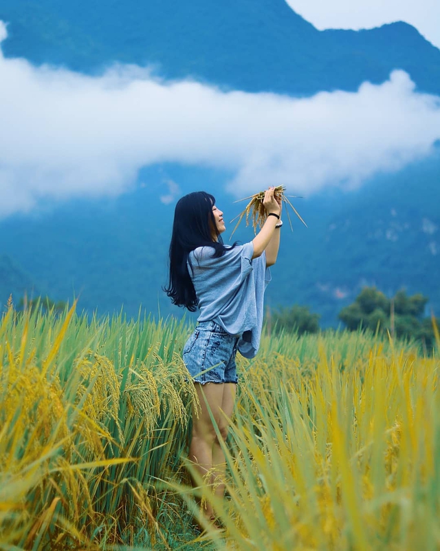 Muốn săn mây nhưng không thể dậy sớm thì đừng bỏ lỡ Măng Đen và những “thiên đường” này - Ảnh 23.