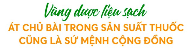 Hành trình xây dựng vùng dược liệu xanh và bước chuyển mình vươn lên vị thế hàng đầu ngành dược của Traphaco - Ảnh 4.