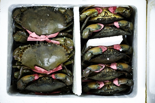 Ca Mau crab soup shop sells 1,000 bowls a day, with bowls up to 300,000 VND - Photo 2.