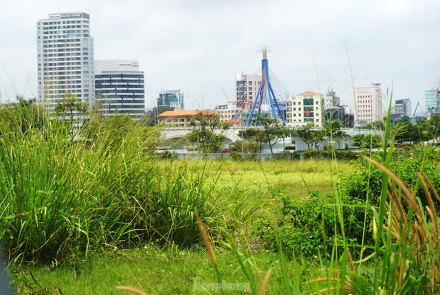 Những dự án ôm đất vàng rồi bỏ hoang ở Đà Nẵng - Ảnh 11.
