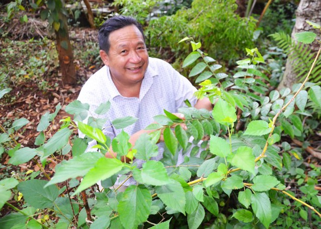 Khăm Phết Lào, con trai vua voi Ama Kông: Độc đáo chàng doanh nhân thầy thuốc đặc sản Tây Nguyên - Ảnh 1.