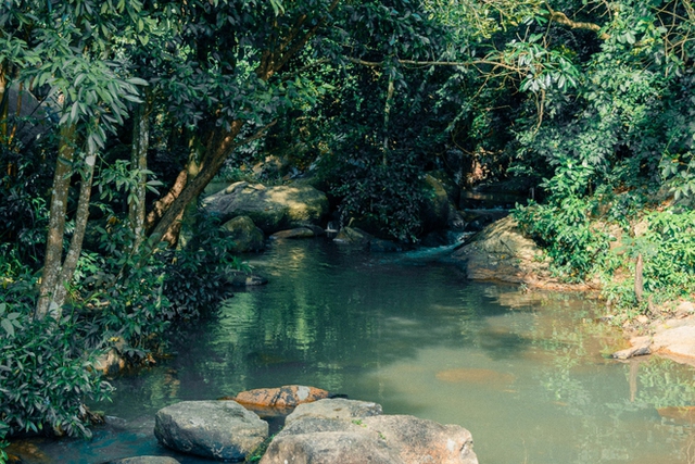 The "virtual living" spots are as beautiful as the movies, which have existed for a long time in Vung Tau but are now emerging again - Photo 6.