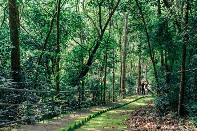 The "virtual living" spots are as beautiful as the movies, which have been around for a long time in Vung Tau but are now emerging again - Photo 3.