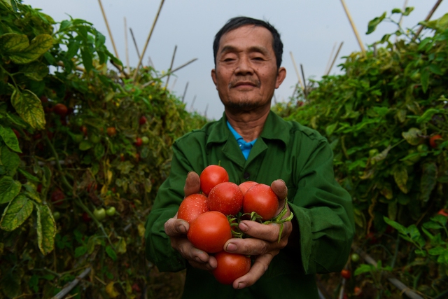 Doanh nhân Nguyễn Thị Thành Thực: Từ thương lái ‘khét tiếng’ mua cả một nông trường cam Trung Quốc đến startup nông nghiệp công nghệ ở tuổi U60 - Ảnh 4.