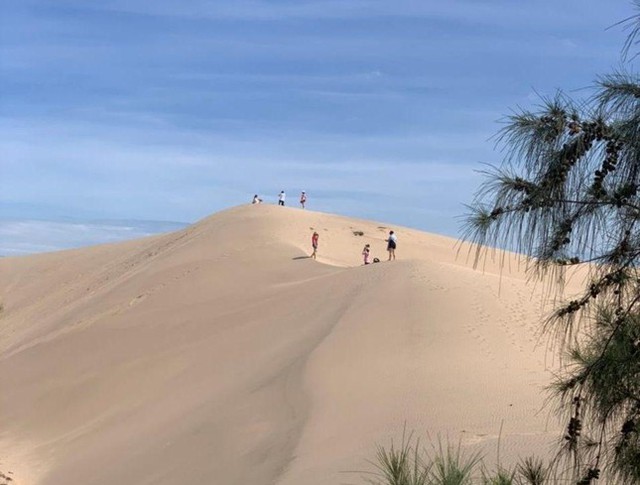 Khách du lịch thích thú trải nghiệm đồi cát hoang sơ ở Ninh Thuận - Ảnh 1.