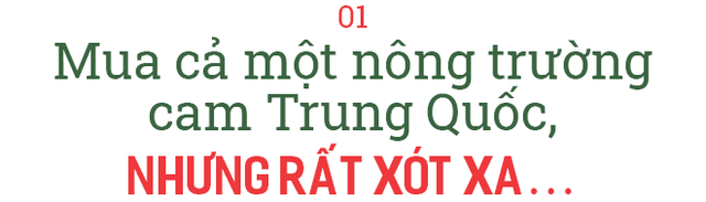 Doanh nhân Nguyễn Thị Thành Thực: Từ thương lái ‘khét tiếng’ mua cả một nông trường cam Trung Quốc đến startup nông nghiệp công nghệ ở tuổi U60 - Ảnh 2.