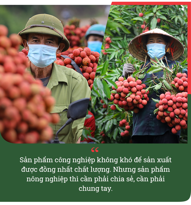 Doanh nhân Nguyễn Thị Thành Thực: Từ thương lái ‘khét tiếng’ mua cả một nông trường cam Trung Quốc đến startup nông nghiệp công nghệ ở tuổi U60 - Ảnh 8.