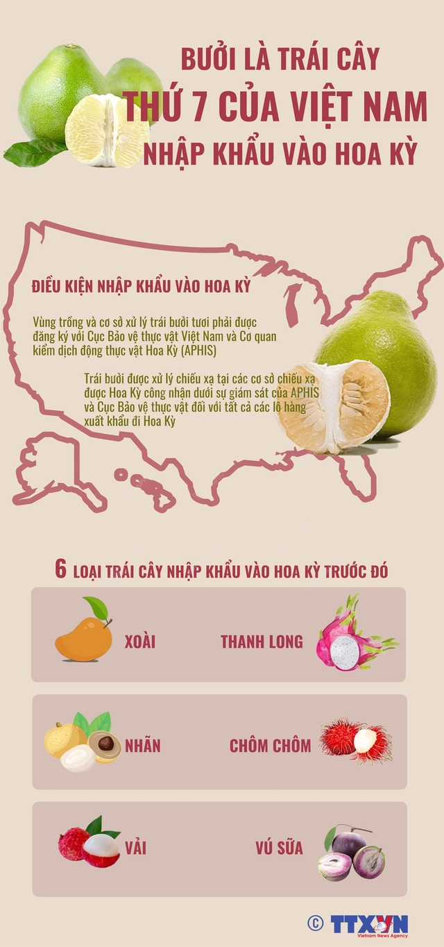 Bưởi trở thành trái cây thứ 7 của Việt Nam nhập khẩu vào Hoa Kỳ - Ảnh 1.