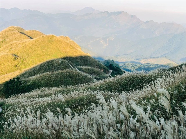 Discover Binh Lieu - "Miniature Sapa" with a series of stunning wild places in the heart of Quang Ninh - Photo 18.