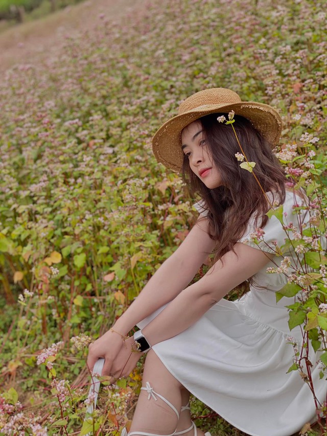 Not only in Ha Giang, 3 locations also have buckwheat flowers blooming so beautifully - Photo 11.