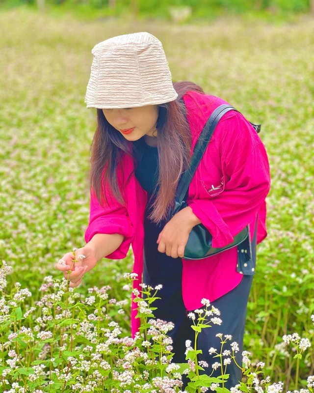 Not only in Ha Giang, 3 locations also have buckwheat flowers blooming beautifully - Photo 4.