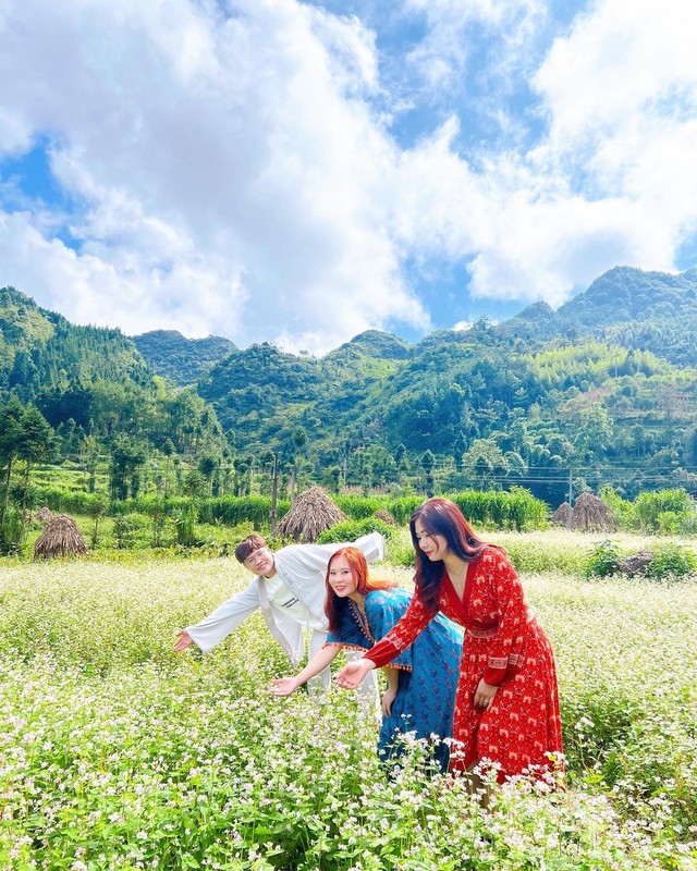 Not only in Ha Giang, 3 locations also have buckwheat flowers blooming so beautifully - Photo 3.