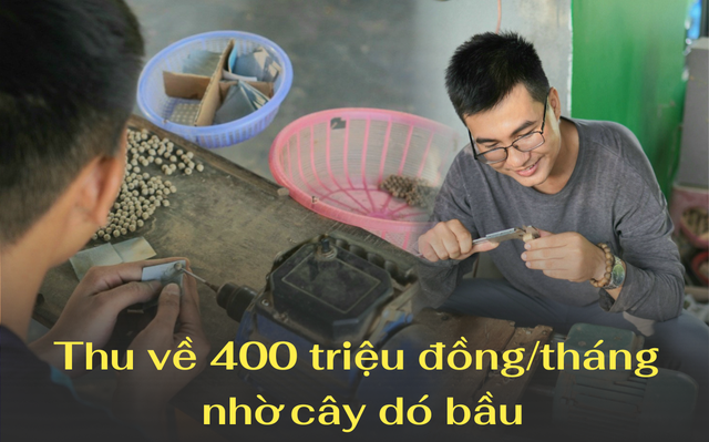 Chàng kỹ sư bỏ nghề lương cao, ôm 20 triệu đồng về khởi nghiệp: Nợ nần ngập mặt vì phá sản, ngậm đắng… bán trầm lại thành công