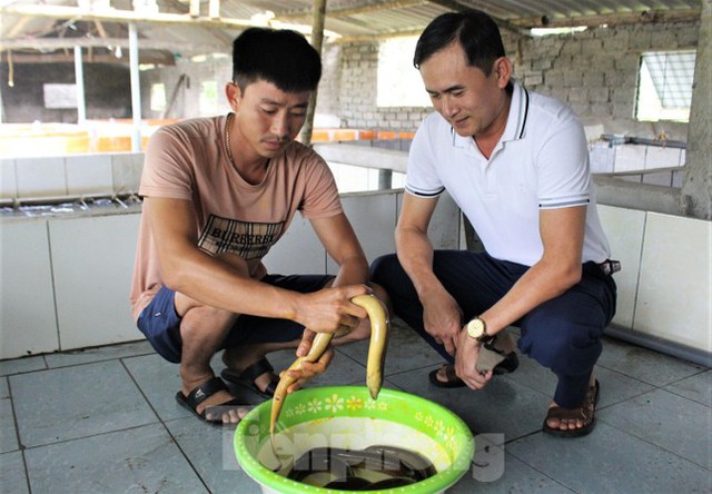 Chàng trai 9x thu trăm triệu mỗi năm nhờ nuôi lươn không bùn, cho lươn nghe nhạc - Ảnh 2.