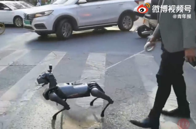 Thú vui mới của người Trung Quốc: nuôi chó robot làm cảnh, giá một con sương sương hơn 300 triệu đồng - Ảnh 3.