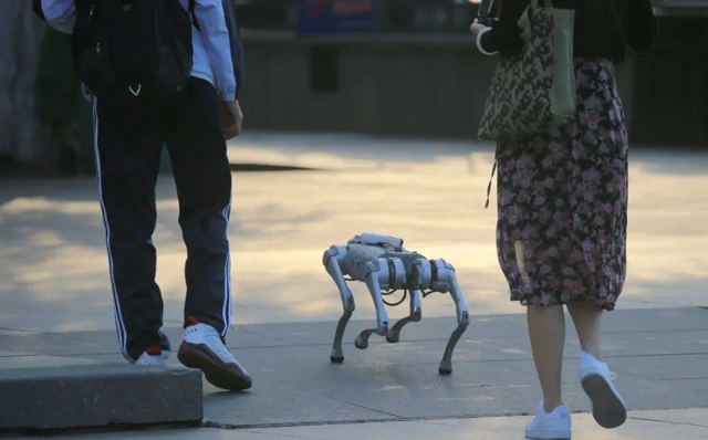 Thú vui mới của người Trung Quốc: nuôi chó robot làm cảnh, giá một con sương sương hơn 300 triệu đồng - Ảnh 1.