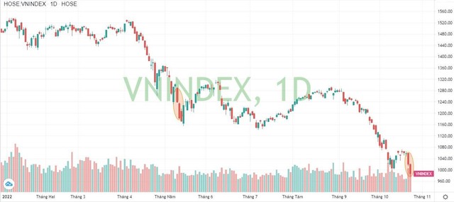 Lại thêm một ngày Black Monday, VN-Index lần đầu giảm 2 phiên liên tiếp trên 3% sau hơn 5 tháng - Ảnh 2.