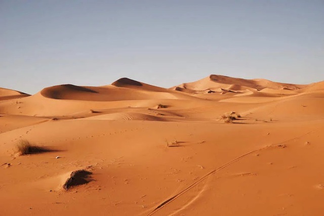 Công nghệ biến cát sa mạc cằn cỗi thành đất màu mỡ chỉ trong 7 tiếng - Ảnh 1.