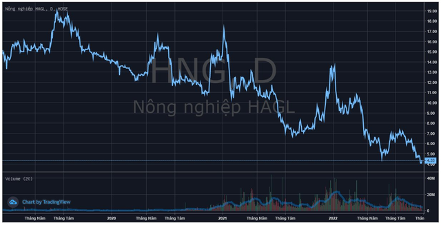 HAGL Agrico (HNG) công bố lộ trình khắc phục chứng khoán bị cảnh báo, chuyển hạch toán công ty con sang tiền Lào - Ảnh 1.
