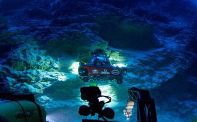 Một "ốc đảo sự sống" vừa được phát hiện trong chuyến thám hiểm Nekton Maldives Mission (Ảnh: Nekton Maldives Mission/Nekton 2022/sciencealert.com)