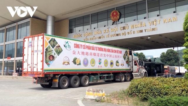 140 tấn sầu riêng xuất sang Trung Quốc qua cửa khẩu Lào Cai - Ảnh 1.