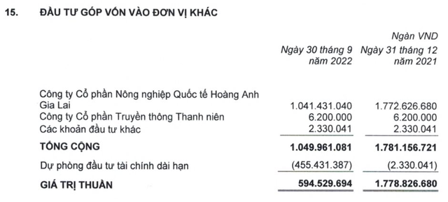 Bán chuối, bán heo nhưng không đủ bù chi phí tài chính, vì sao Hoàng Anh Gia Lai (HAGL) vẫn lãi lớn? - Ảnh 3.