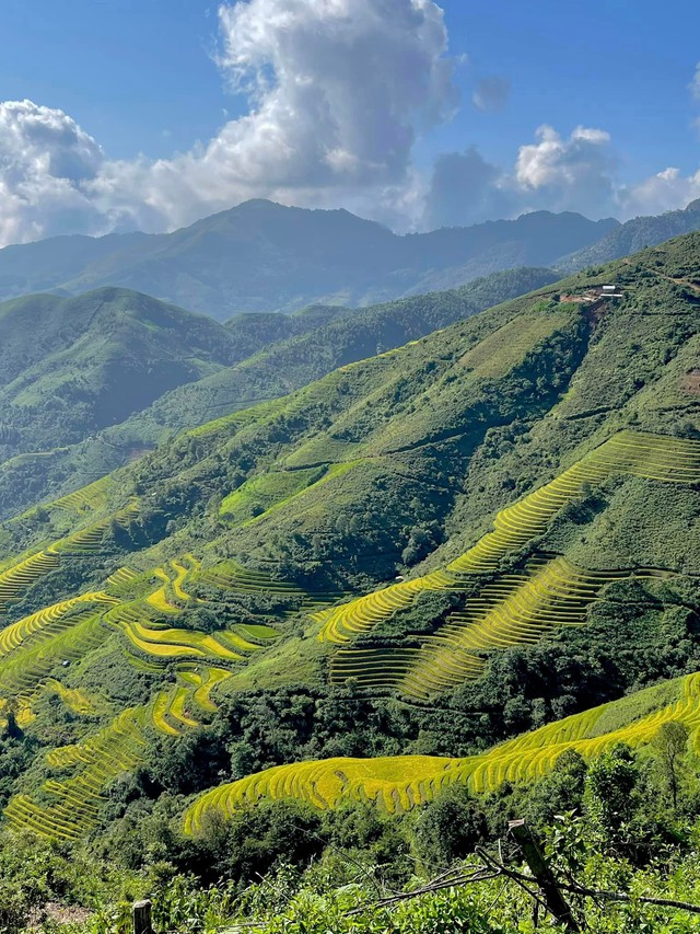 Chiêm ngưỡng những địa điểm “săn mây” không thể bỏ lỡ dịp cuối năm, chi phí ra sao? - Ảnh 5.