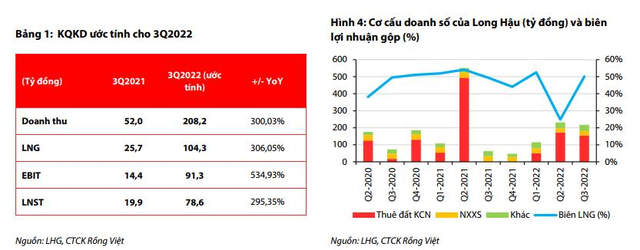 VDSC: Cổ phiếu vào diện cảnh báo, Long Hậu (LHG) đối diện rủi ro do khoản nợ phải trả cho cổ đông lớn IPC - Ảnh 2.