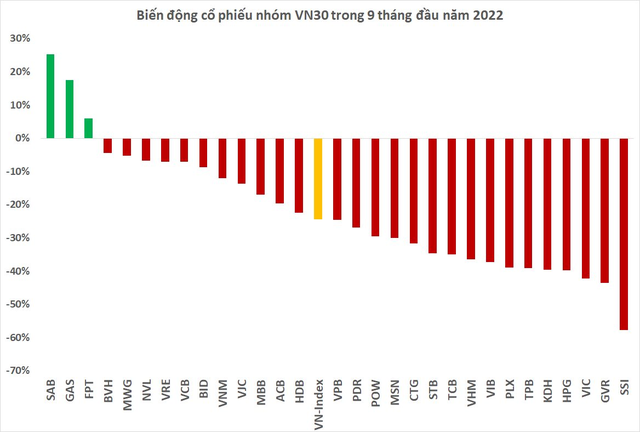 Quá nửa rổ VN30 giảm mạnh hơn thị trường sau 9 tháng, quán quân giảm điểm trượt dài gần 60% - Ảnh 1.