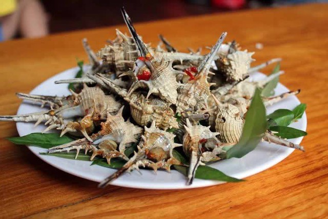 The famous snail of Phu Quoc costs 270,000 VND/kg - Photo 1.