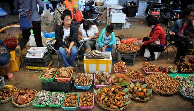 Một ngày ở chợ nấm Côn Minh - nơi bán thức quà của đất đắt đỏ bậc nhất thế giới - Ảnh 10.