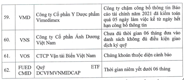 HoSE cắt margin với 62 mã chứng khoán trong quý 4/2022, VIC không có tên trong danh sách - Ảnh 5.