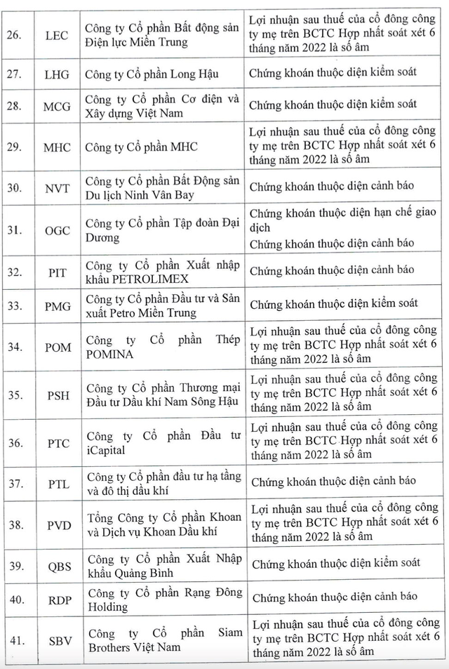 HoSE cắt margin với 62 mã chứng khoán trong quý 4/2022, bao gồm FLC, HAG, HVN, LHG, TGG, TDH, ITA,... - Ảnh 3.