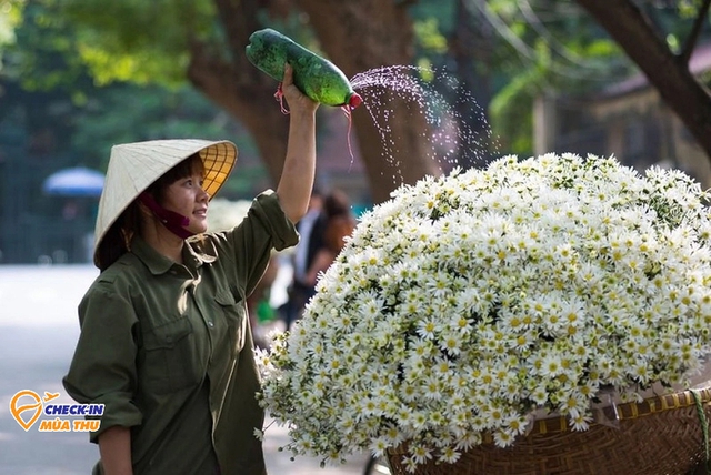 Mùa hoa tháng 10 dọc miền đất nước: Tây Bắc có 1 loại hoa cực lạ không phải ai cũng biết - Ảnh 10.