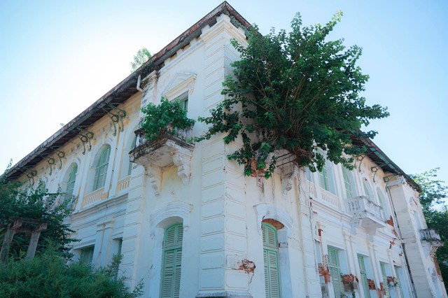 Visitors to Tien Giang love to explore ancient houses with historical and cultural values ​​- Photo 15.