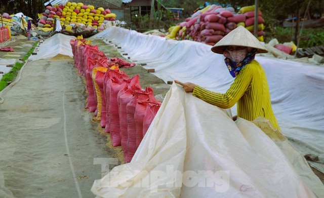 Giá gạo Việt Nam tăng vượt Thái Lan, gạo 100% tấm cháy hàng - Ảnh 2.